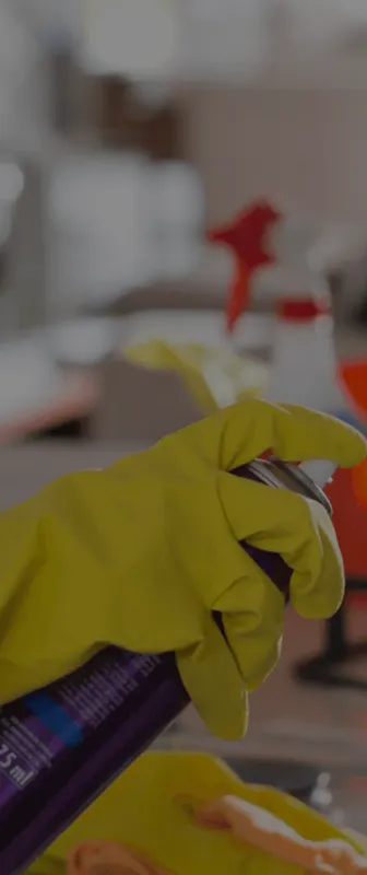 Reliable Residential & Commercial Cleaning in Knoxville, TN
